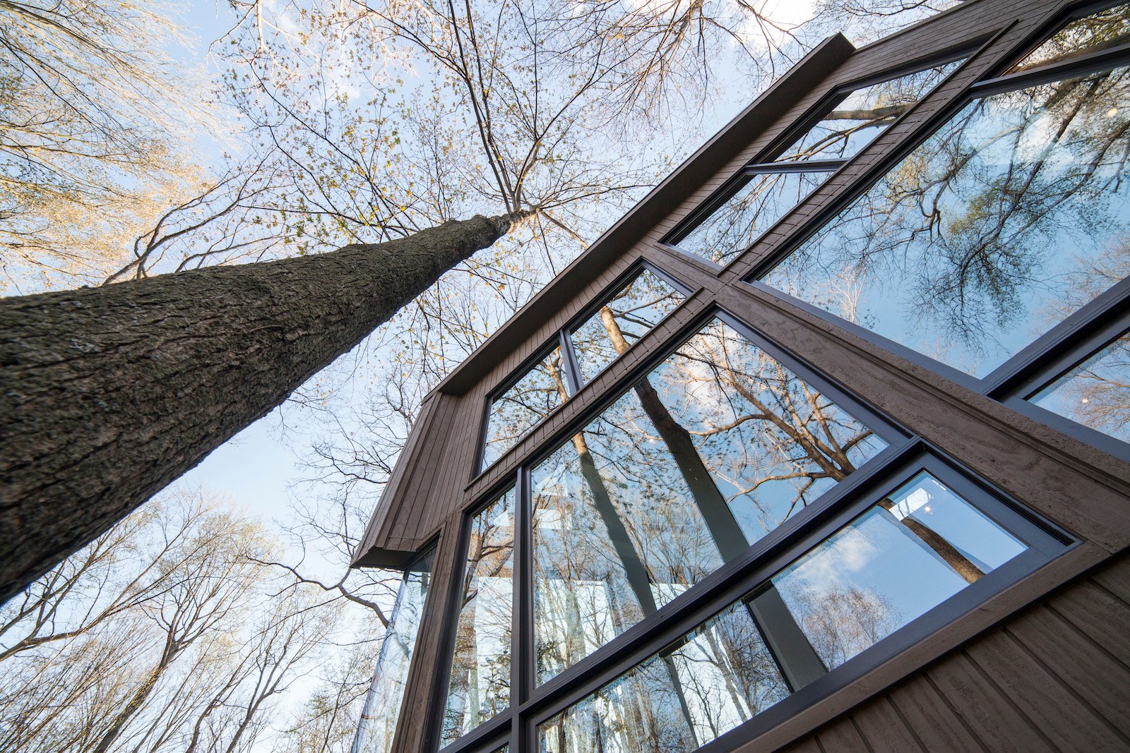 Addition to contemporary Dexter home features dramatic custom Marvin windows