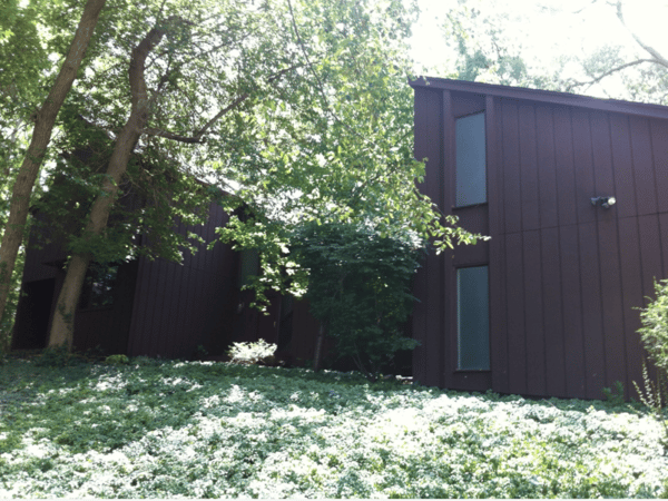 A photo of a contemporary home showing dark exteriors and overgrown landscaping