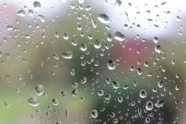 Condensation on a glass window